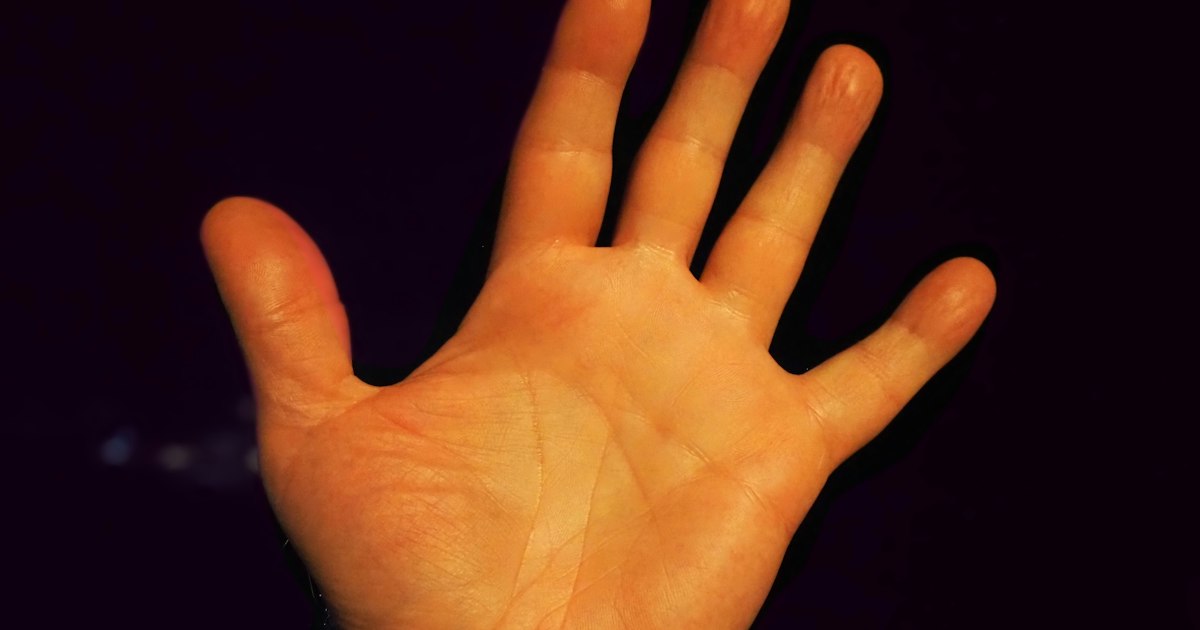 Wandering Hands: Decoding Travel Lines and Global Journeys on Your Palm